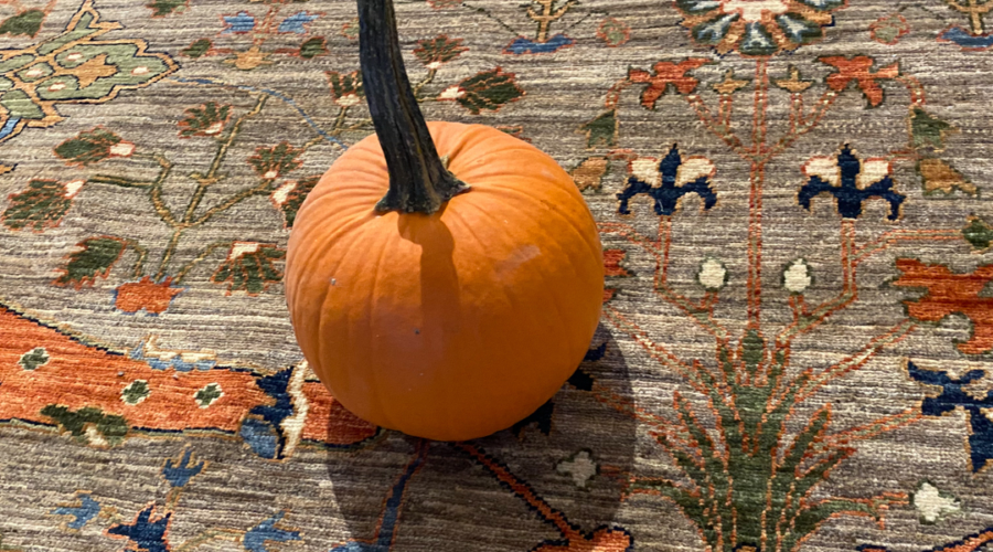 pumpkins for fall on warm rug