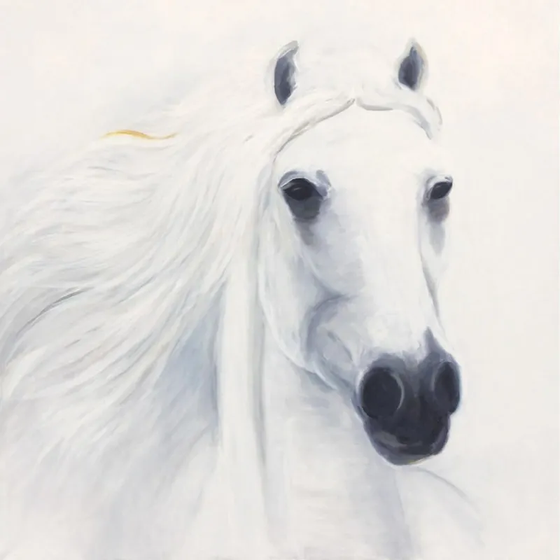 24x24 white horse head mixed media on canvas fine art