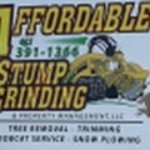 Affordable Stump Grinding and Prop Management Logo