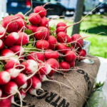 Aquidneck Growers Market Logo