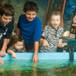 Biomes Marine Biology Center Logo