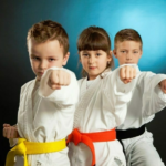 Derderian Martial Arts Logo