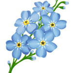 Forget Me Not Florist & Gift Shop Logo