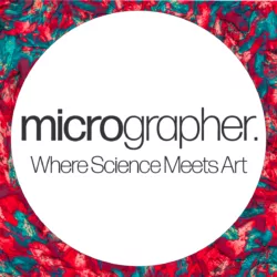 Micrographer Logo