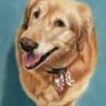 Paw Prints Pet Art Logo