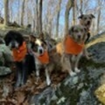 The Peaceful Pack Logo